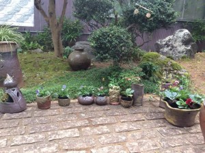 12076934_883735975037803_119775684_n