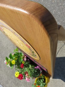 12079209_885421571535910_8872110243605319326_n