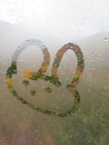 12079467_884684261609641_8917835487986573634_n