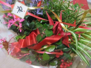 12080854_881518171926250_1405312155_n