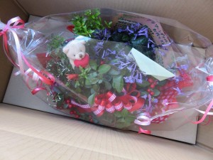 12084053_882484958496238_349944631_n