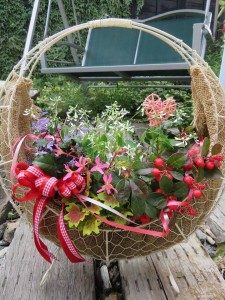 12084053_883542085057192_268361549_n