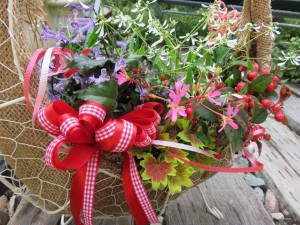 12084087_883542138390520_1082862749_n