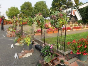 12086740_883542965057104_2685499_n