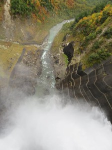 12088350_884684781609589_8525627390006163863_n