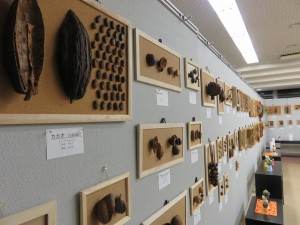 12088473_885921428152591_8427301154222381120_n