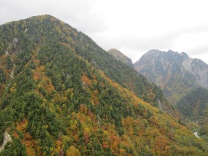 12091434_884686438276090_1219987288763662798_o