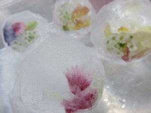 12092170_882078158536918_1520737263_n