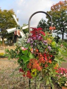 12092171_883542865057114_504865386_n