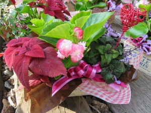 12092327_883541771723890_122852591_n