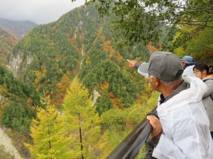 12094748_884684838276250_2454878905377845369_o