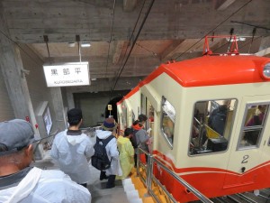 12094949_884684591609608_706625660917762648_o