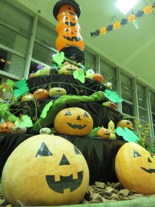 12105741_885921354819265_7201396279843605466_n