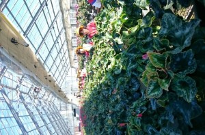 12105768_886183371459730_4695039284188464309_n