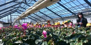 12107249_886183391459728_975909164927153545_n