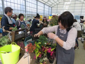 12112002_880965068648227_134881754548748746_n