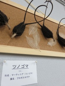 12112138_885921524819248_7196002909444158192_n