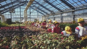 12118779_886183358126398_5277427043073379257_n