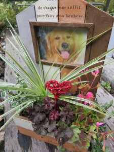 12119051_892098474201553_3919082273974994061_n