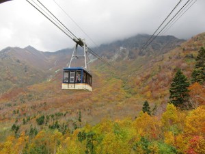 12132592_884686598276074_4330594390749650991_o