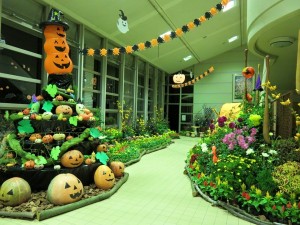 12140849_885921261485941_5535445287914985809_n