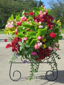 12166192_888399767904757_104072765_n