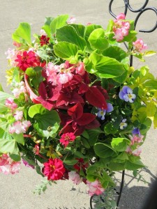 12167916_888399777904756_1607612769_n