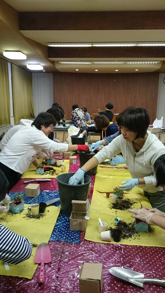 苔玉＆多肉植物のダブル教室