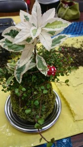 12177729_888729921205075_576964122_n