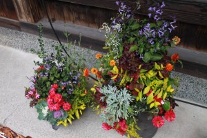 12186833_1509578006035126_8028626744183442350_o