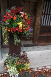 12190968_1509577872701806_7530202602527776508_n