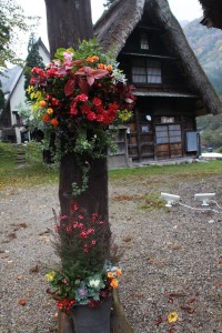 12191037_1509577972701796_7129358321547821573_n