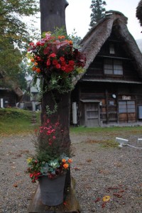 12191962_1509577806035146_8867474363857195582_n