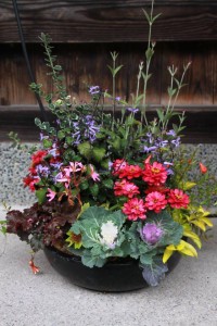 12193313_1509577919368468_1323639909849246145_n