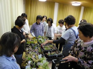 12194283_890809157663818_929103427_o