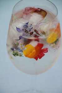 IMG_6652-e1427799028684