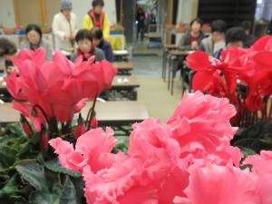 11249552_903511989726868_4685915539647068039_n