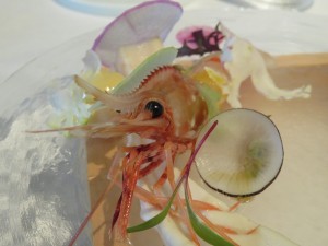 12208631_897379150340152_224233188521763149_n