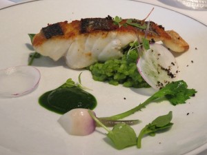 12227056_897379163673484_5601245953794693797_n