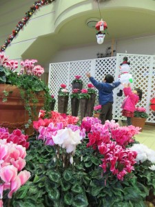 12274263_903512326393501_8507296532487338756_n