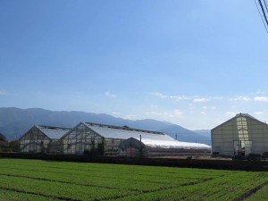 565d304ba3ed039ec2e33e2529554390