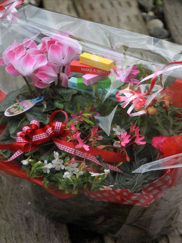 フラワーンダフルギフト続々☆