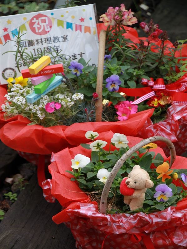 エディブルフラワーの寄せ植えギフト☆