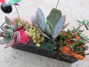 10454252_1537504836575776_6366418059863380800_o