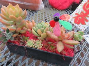 10623417_1537505053242421_2391481986862526677_o