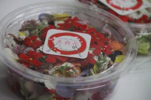 12185426_1516950821964511_7906290276245997995_o