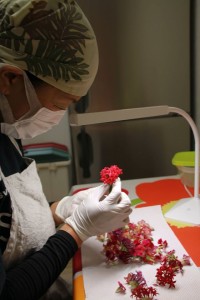 12239326_1516946281964965_5885136482457304808_o