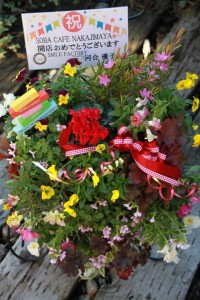 12309893_907647839313283_3633575717634260309_o