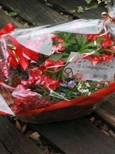 12312123_905025869575480_1878653314_n