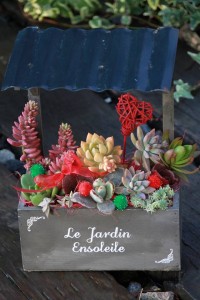 12312355_910192985725435_1258445650_n